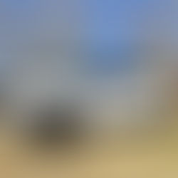 2019 Ford Raptor In For A Gold Package of Ceramic Pro