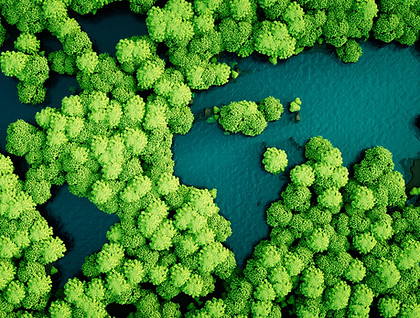 Trees