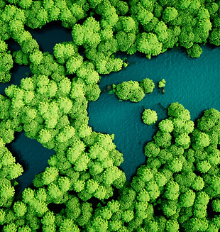 Duurzame wereld