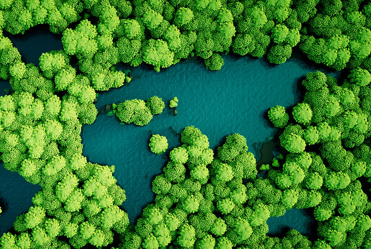 Trees and water