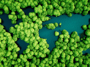 The Green Case for Going Paperless: How Document Scanning Reduces Your Carbon Footprint