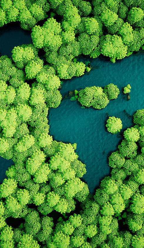 Trees