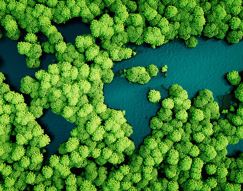 Rainforest Action Initiative