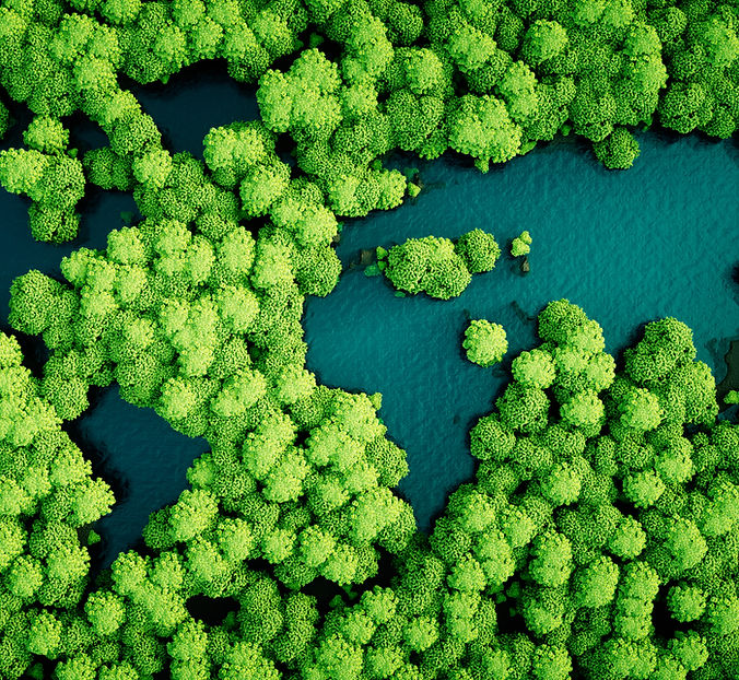 Trees