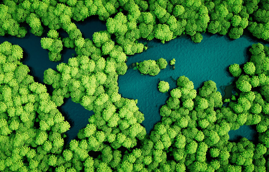 Trees
