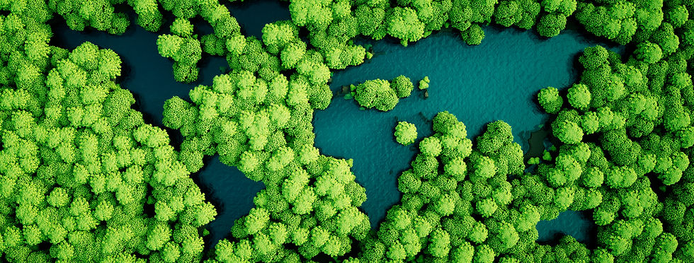 Trees