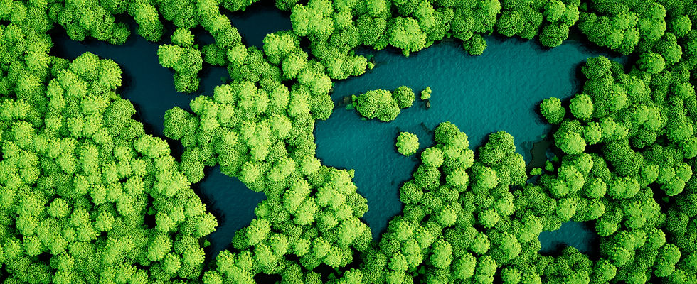 Trees
