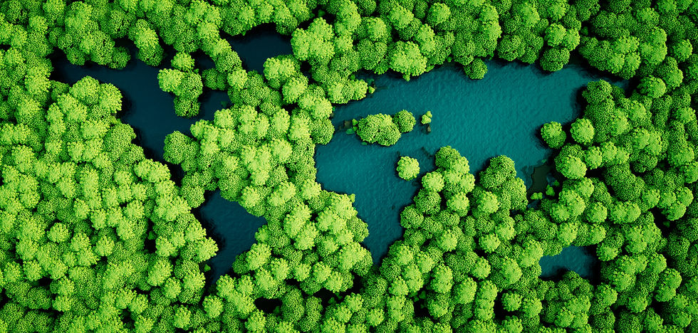 Trees