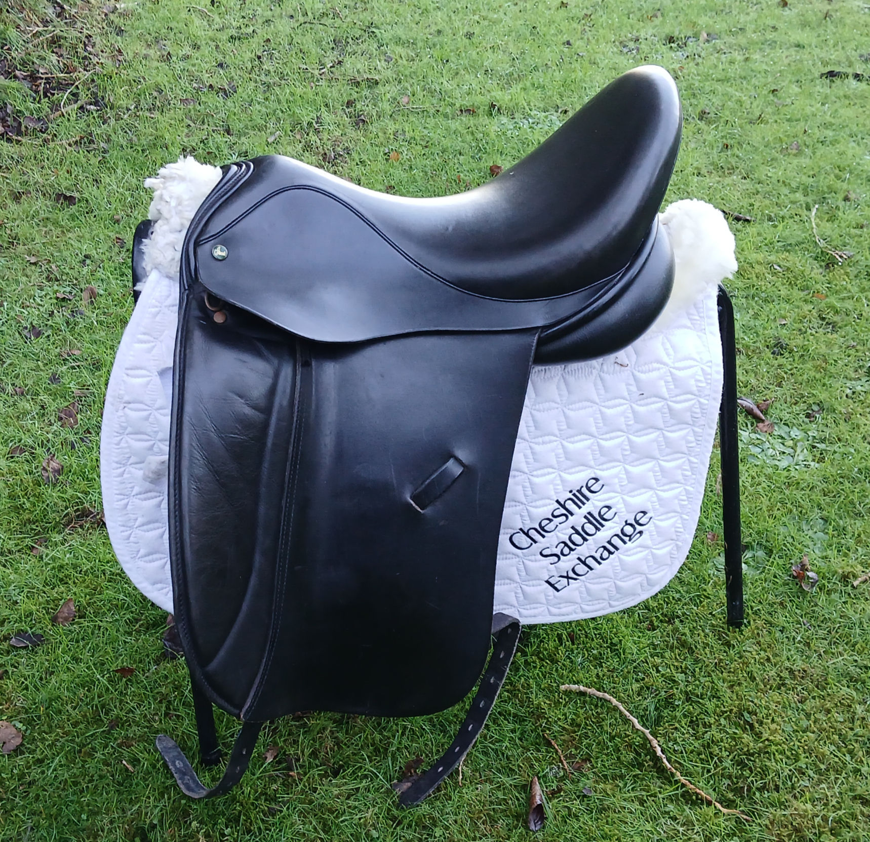17.5 " Ideal/crown Suzannah Dressage saddle Med