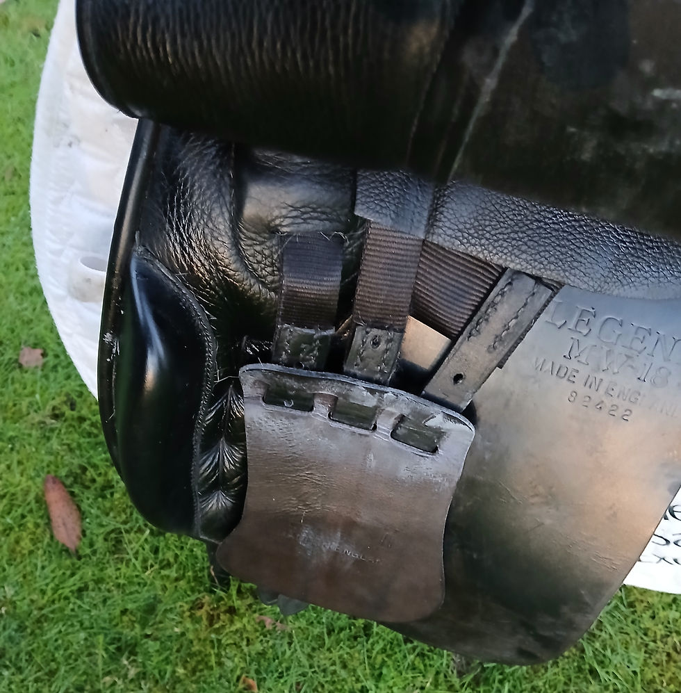 Thumbnail: 18" Albion K2 Gp saddle Mw