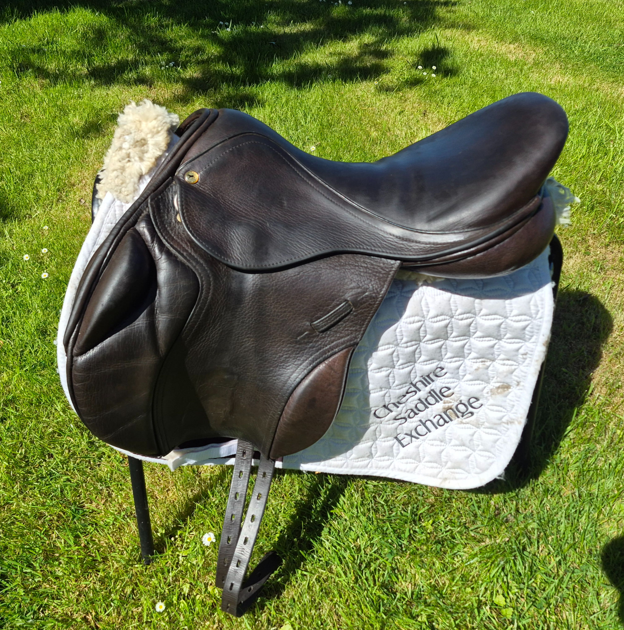 17.5" Black country Event jump saddle Mw Brown