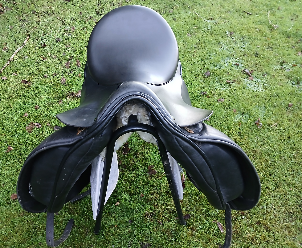 Thumbnail: 17.5 " Ideal/crown Suzannah Dressage saddle Med