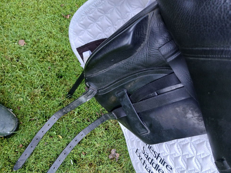 Thumbnail: 17.5 "Albion K2 Dressage genius tree narrow/Med Tb types Hw