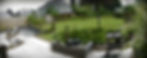 Plantes aquatiques