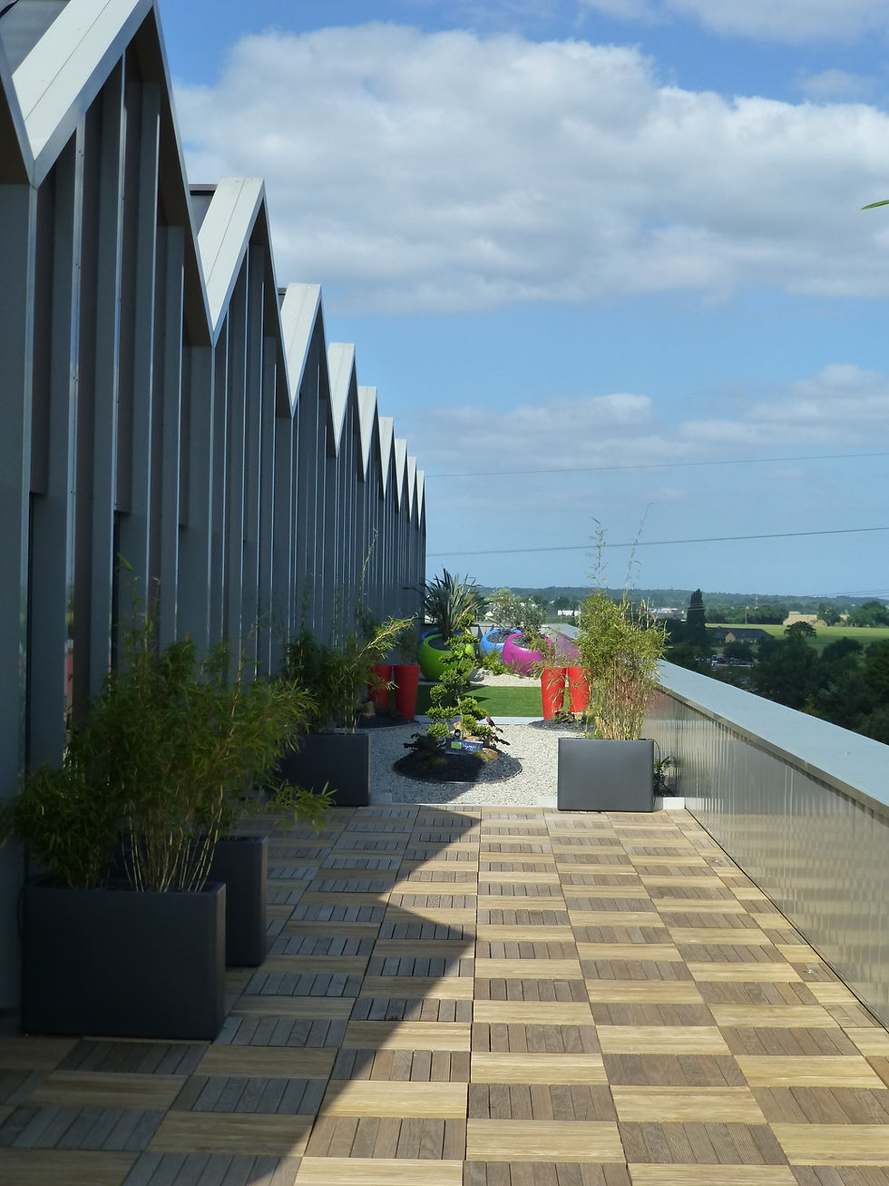 Terrasse bois