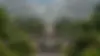 jeel.webp