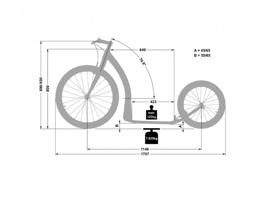 Minijatura: Aluminijski skuter - kotači od 26”/20”.