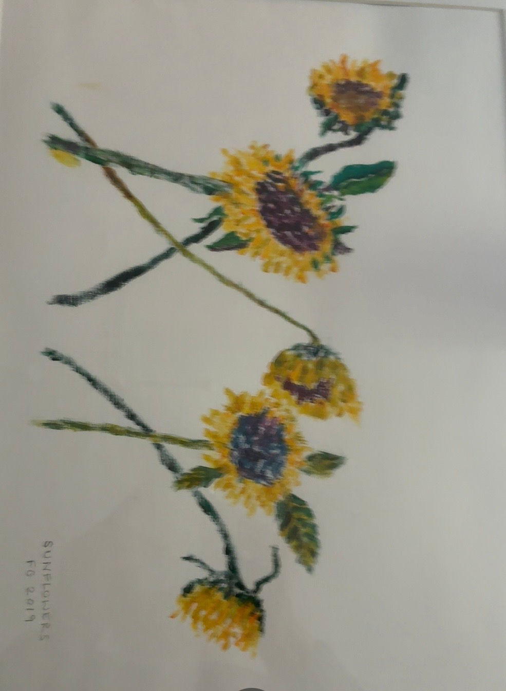 Sunflowers by Fiona Gardiner