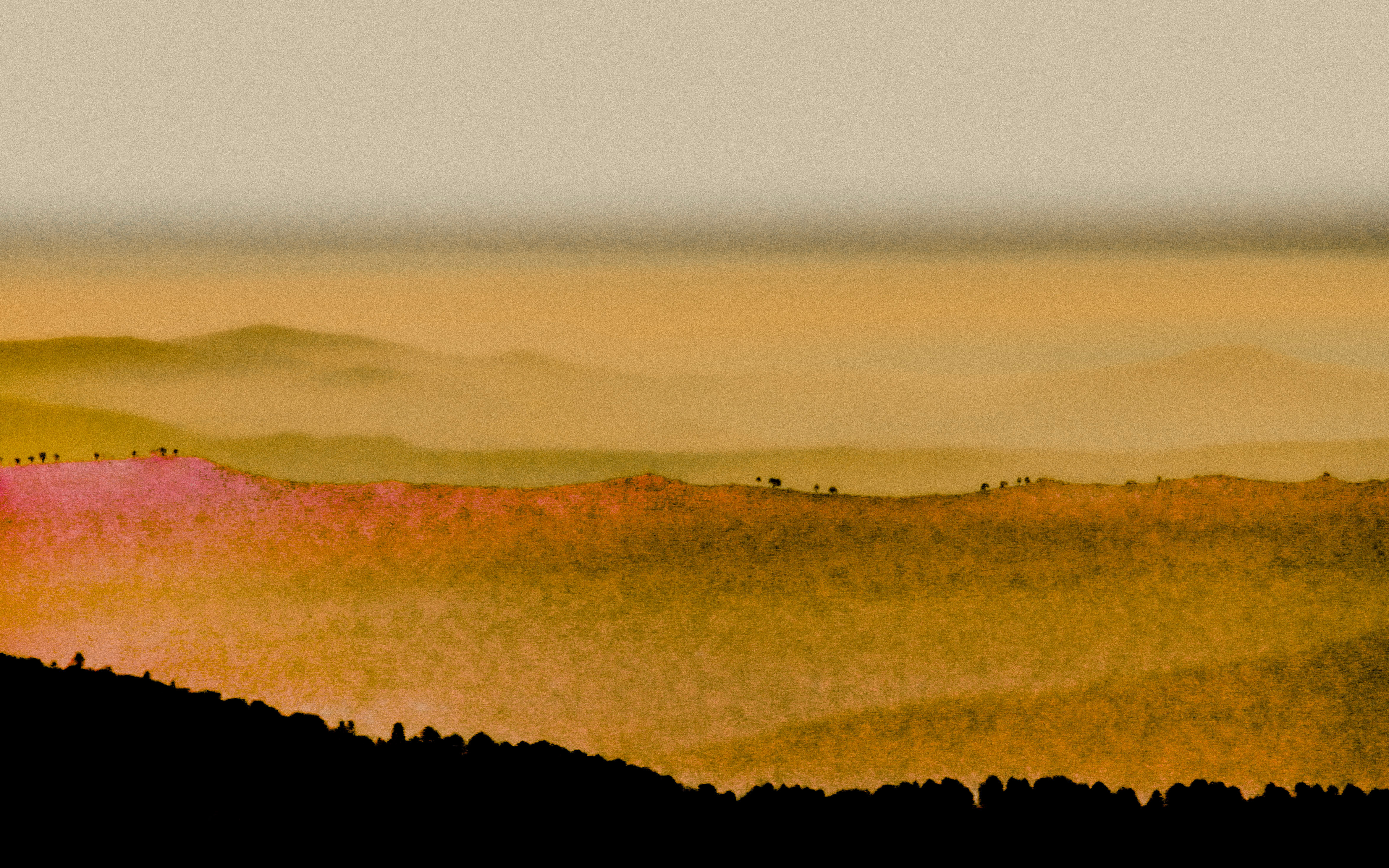 First Light by Alice Gur-Arie