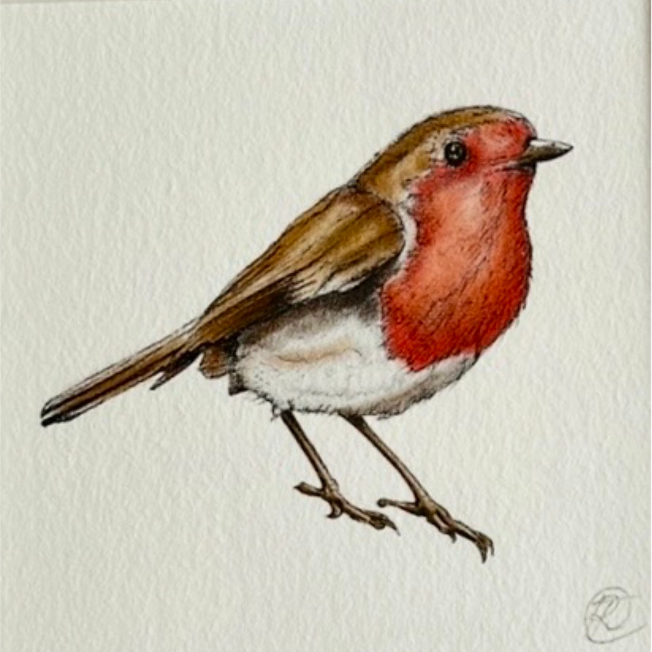 Robin by Tamzyn Sunderland