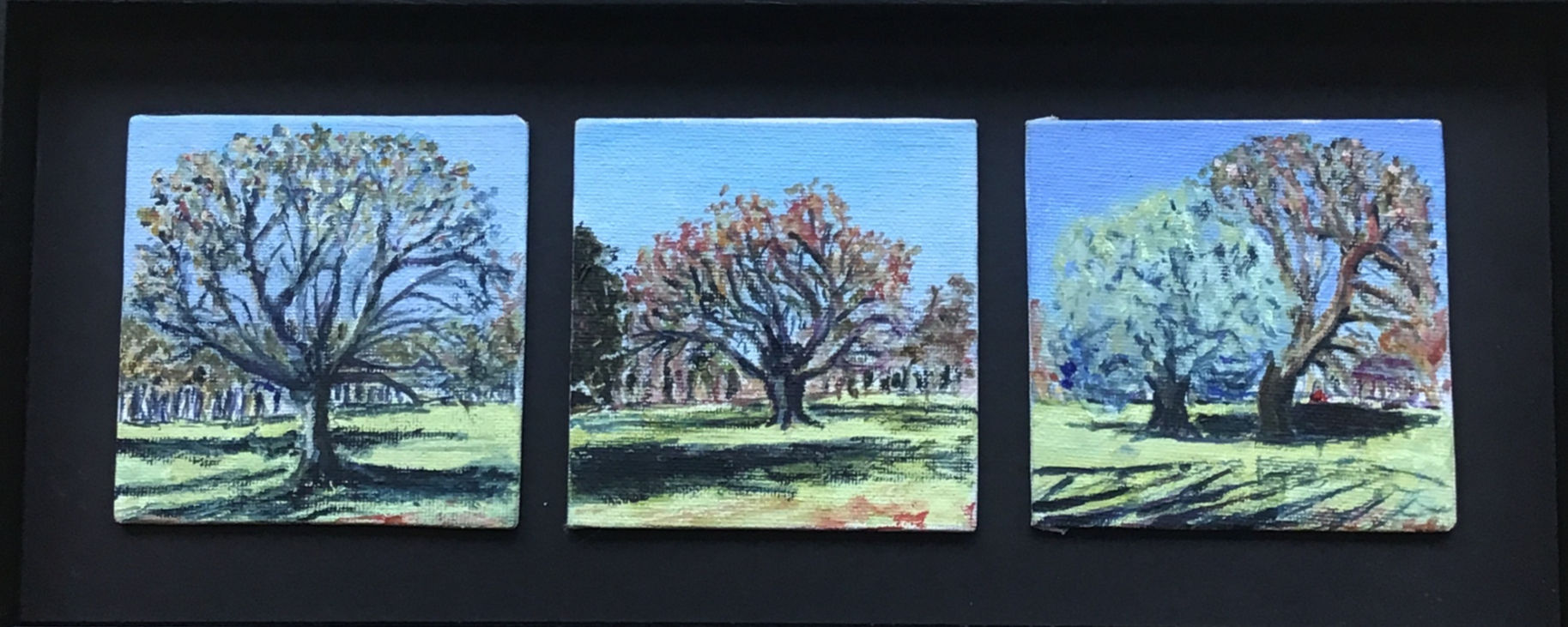 Trio of Greenwich Park Trees by Chris Ashworth