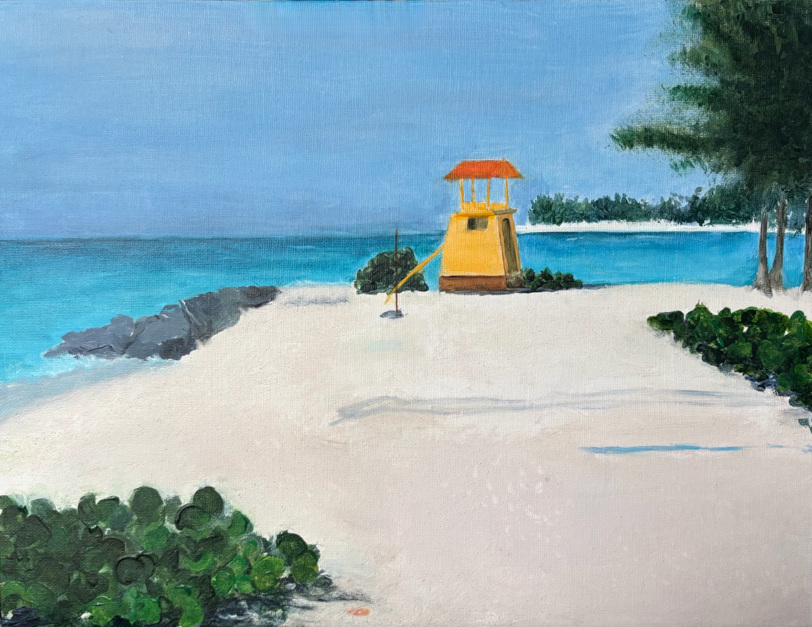 Barbados Beach by Dai Anderson
