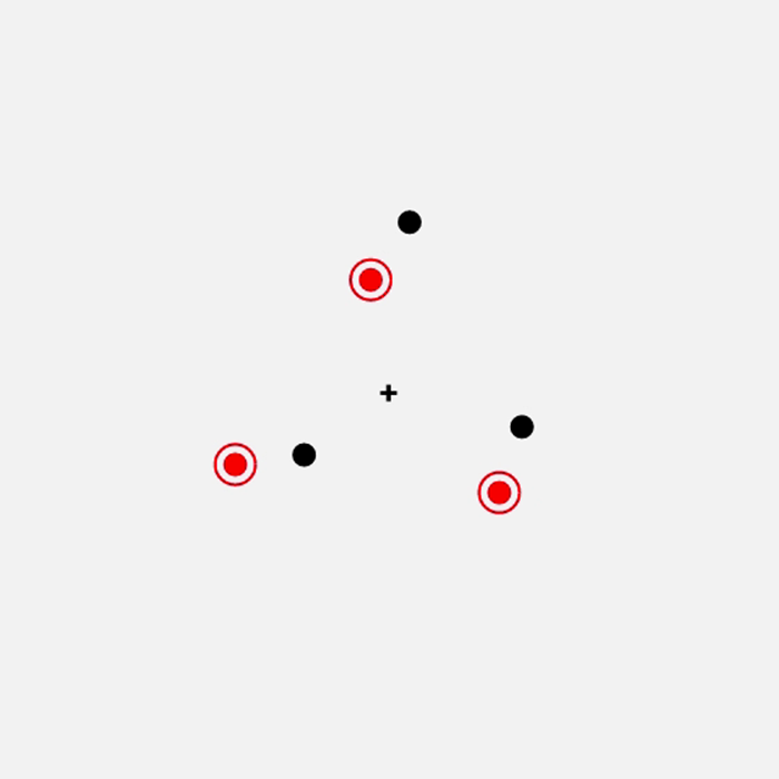 Multiple Object Tracking