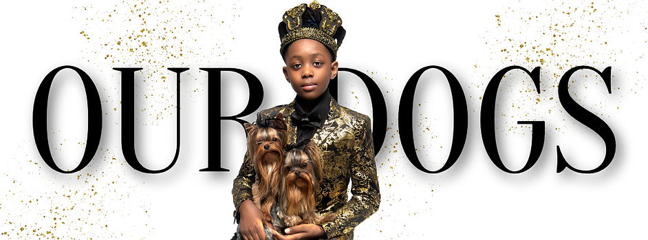 BeFunky-design (15) (1).jpg