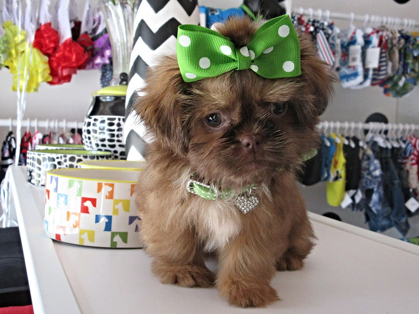 Edited Image 2018-04-09 02-26-55