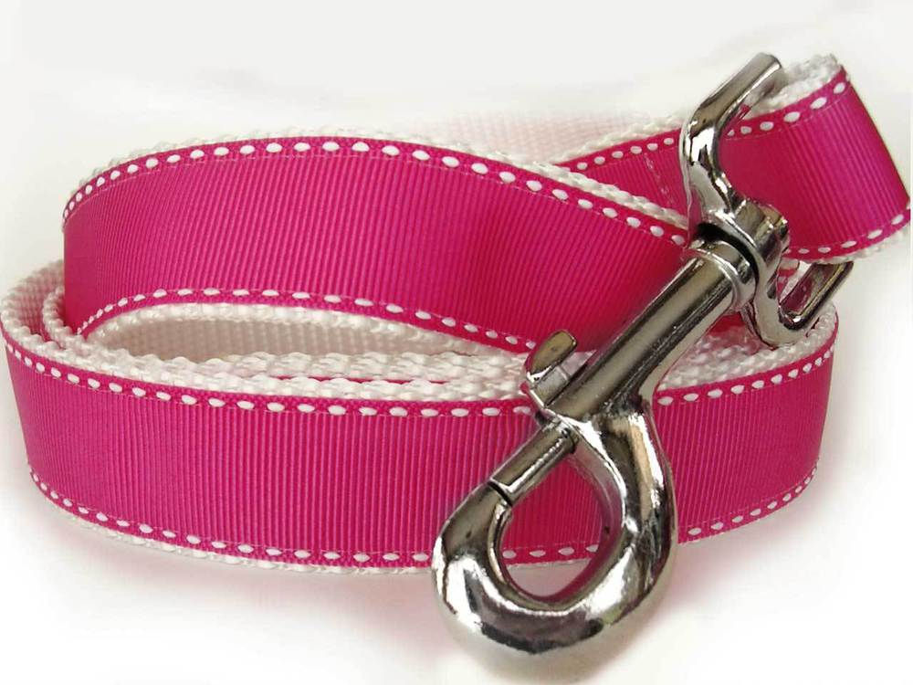 Preppy in Pink Dog Leash