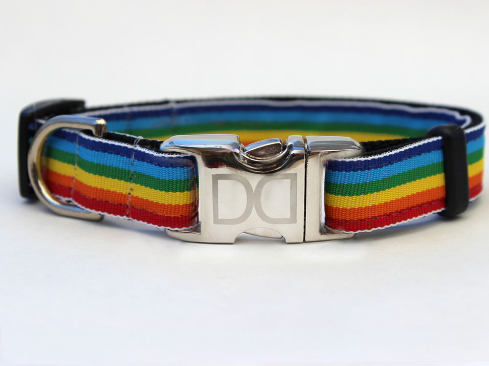 Rainbow Dog Collar