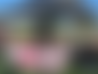 Corica Park Dine & Drives