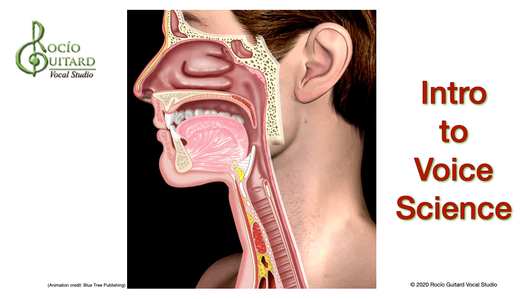 Intro To Voice Science cover.gif