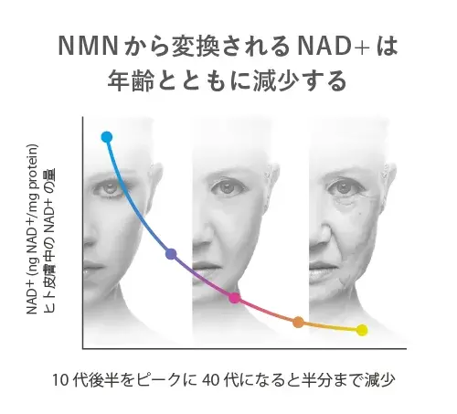 Miniatura: クロノスターNMNプレミアム（30包）NMN300mg配合 抗酸化酵素食品