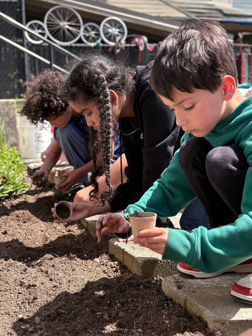 planting.jpg