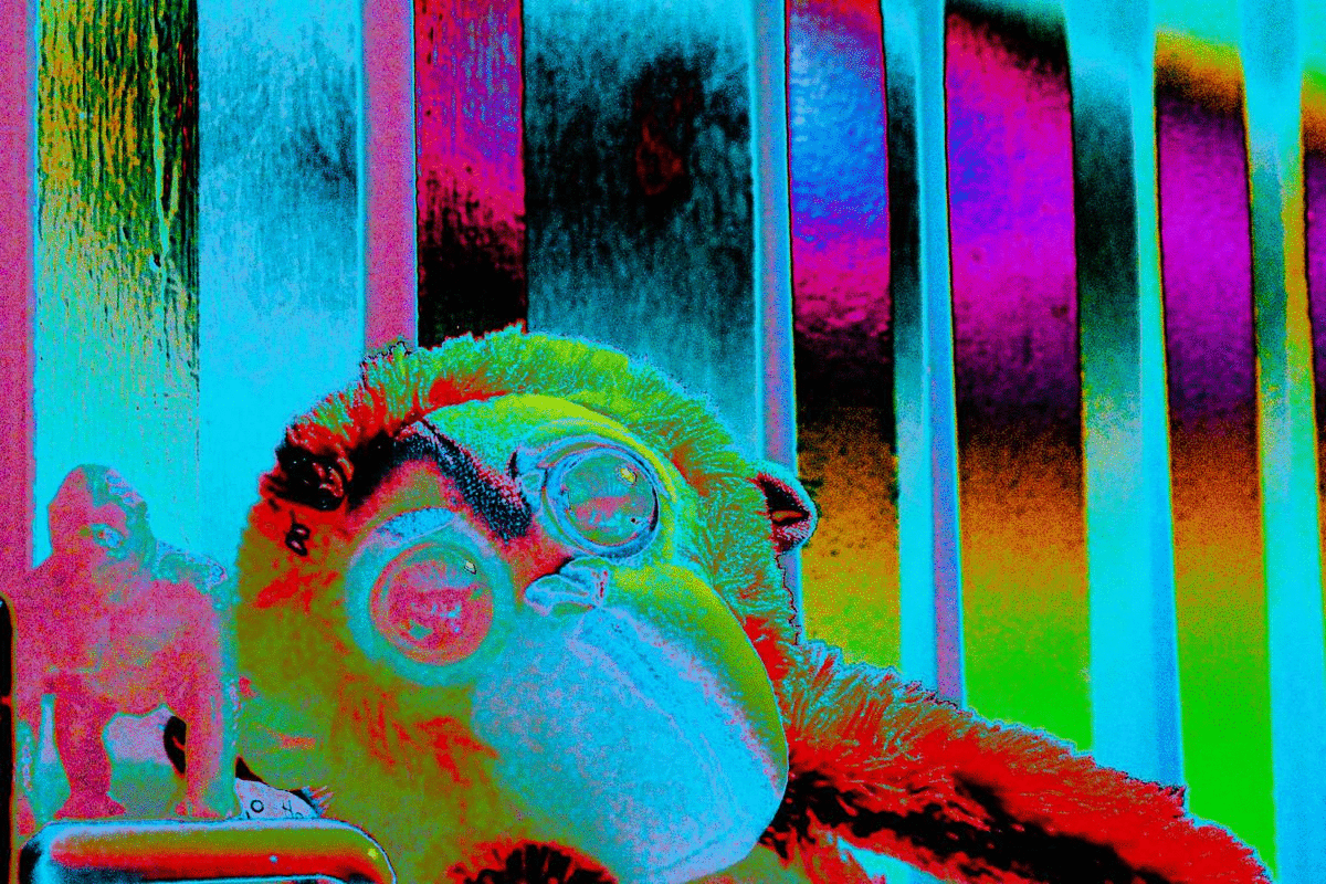 ezgif.com-gif-maker.gif