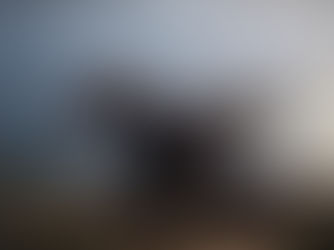 Acting for Climate Workshop in Norway on 10th – 14th of August!