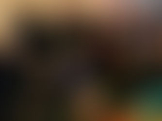 Members Meeting in Stockholm Nov