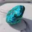 Thumbnail: Malacholla Polished Freeform 2-3"