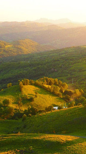 Ziua Mondială a Ascultării