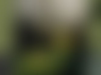 RESEARCH – MAGAZINE CONVENTIONS