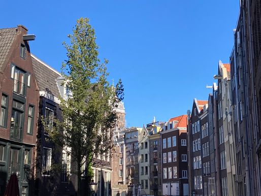 Amsterdamissa 16.10.-25.11.2022 / Vera Riihiviita