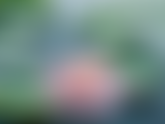 The Importance of Embracing Your Divine Feminine Energy 