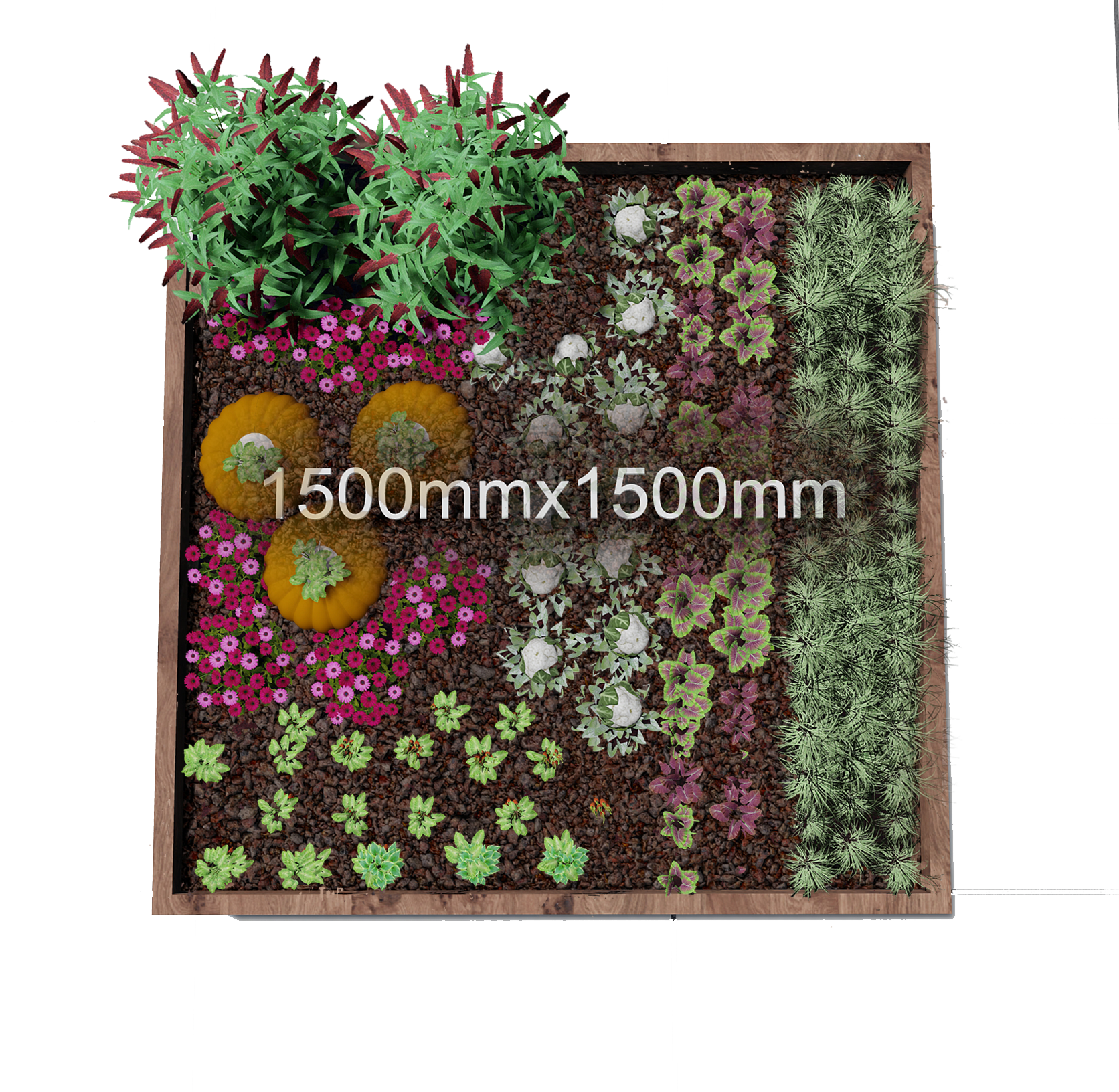 1.5m x 1.5m raised wooden frame planter