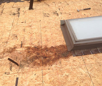 repairing a roof
