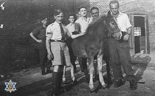 עם חמור בחוה החקלאית