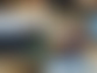 Cette semaine : équitation et coloriage mutualisé à l'Accueil de Jour