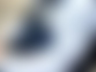 C'est la rentrée pour l'équitation