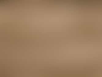 L'équitation mardi 03 juin 2025