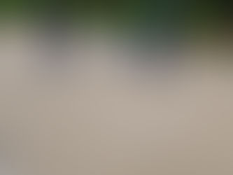 Tu tires ou tu pointes ?